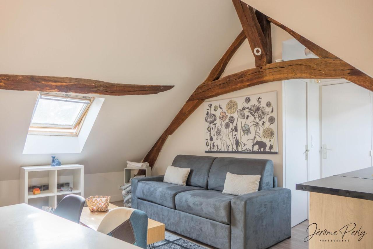 Apartament Orleans Centre T2 Theatre Et Cathedrale Zewnętrze zdjęcie